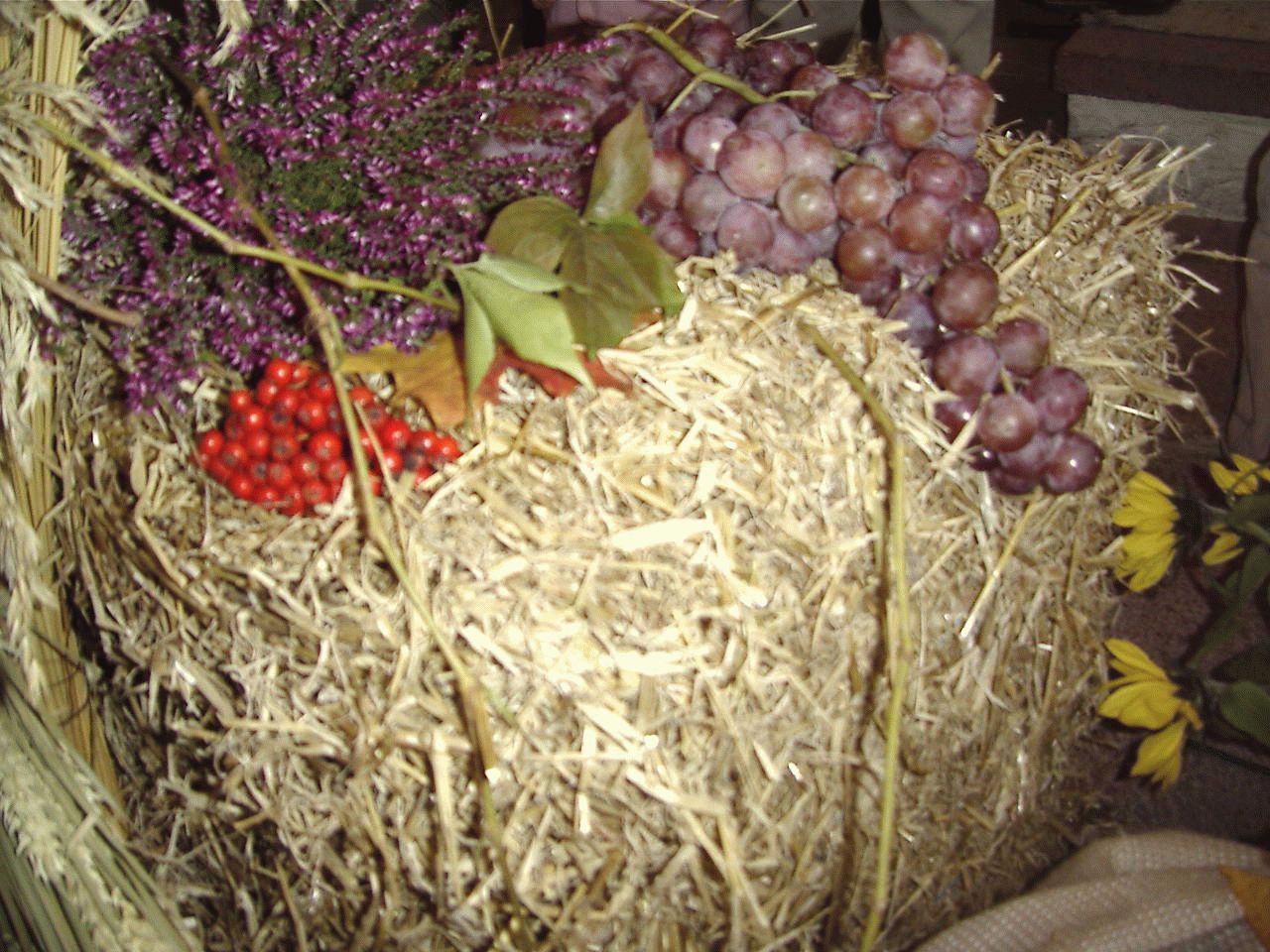 Erntedank6