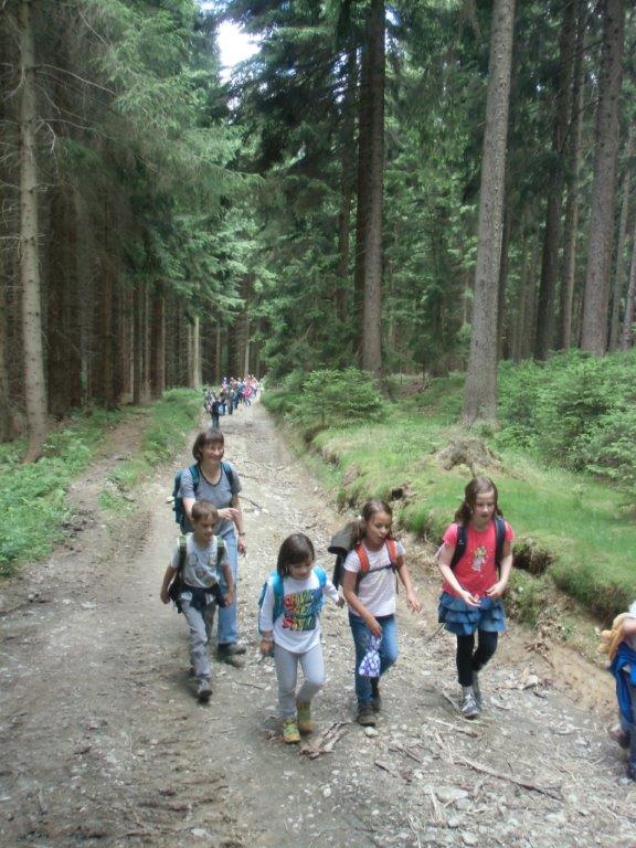 10 Auf dem Rueckweg