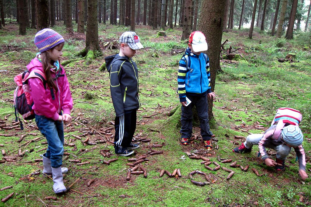 03 Schreiben im Wald