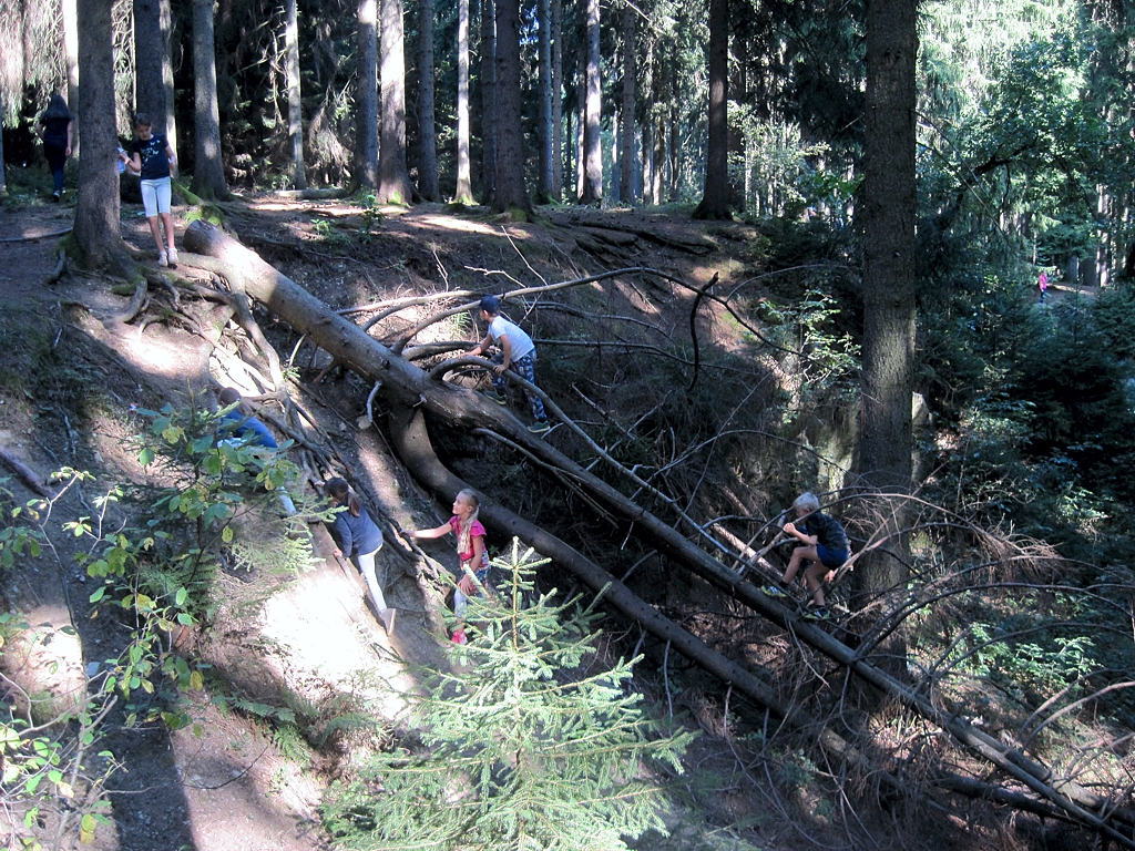 Wandertag 2 3 05