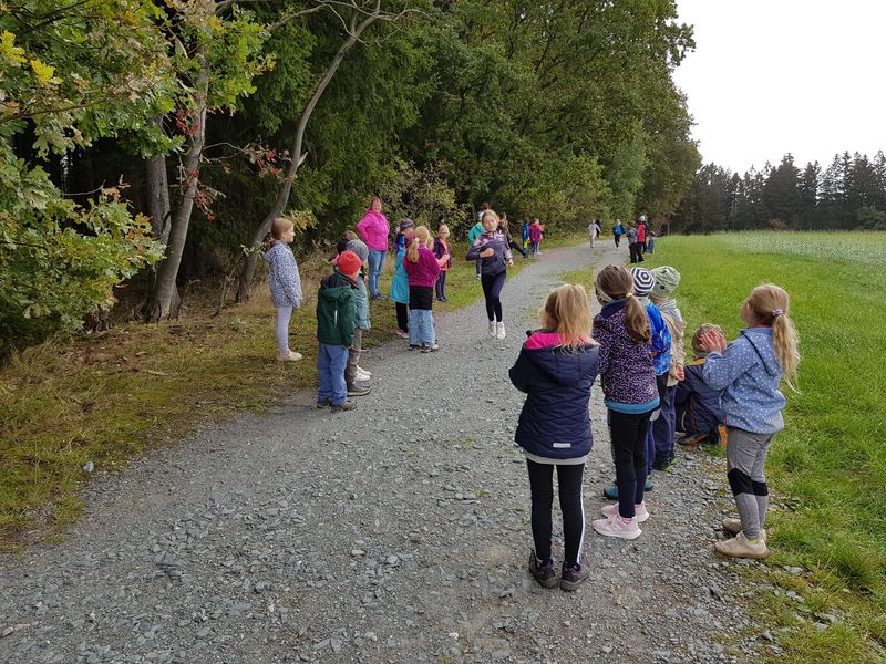 Die Kinder stehen auf dem Wanderweg am Waldrand und warten gespannt